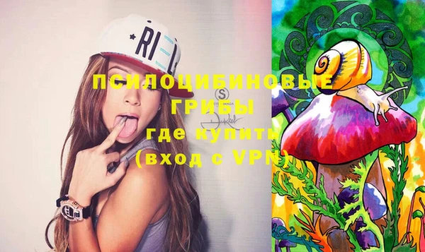 стафф Нефтекумск