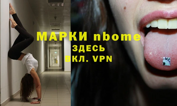 молекула духа Новозыбков