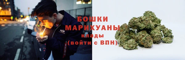 молекула духа Новозыбков