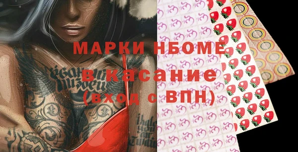 молекула духа Новозыбков