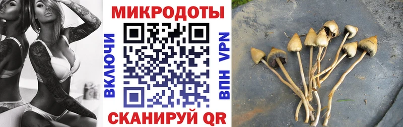 Псилоцибиновые грибы мицелий  МЕГА зеркало  Ковдор  наркота 